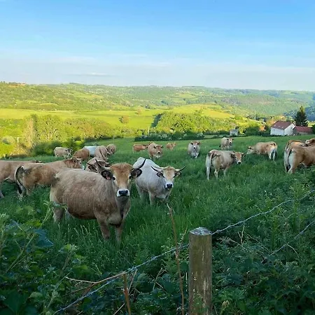 Les Gites De Lachaux - Duplex Prázdninový dům Menat